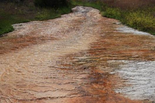 イエローストーン 172