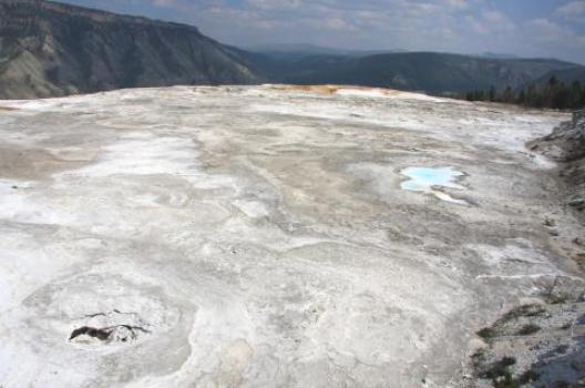 イエローストーン 173