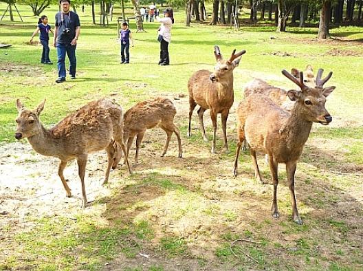 クエスチョン　20