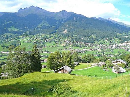 ヴェンゲルンアルプ鉄道 11