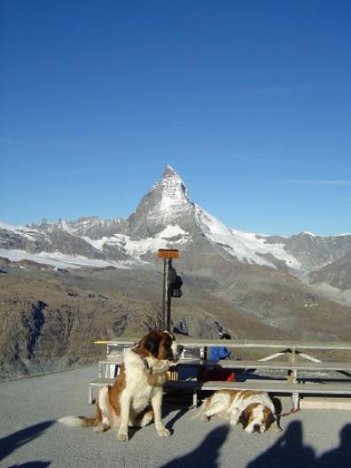 ここはどこシリーズ2011 31