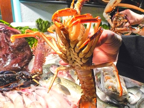 ブイヤベース　3