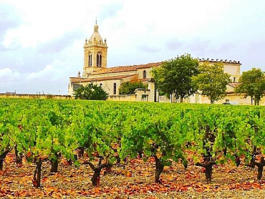 シャトー・マルゴー 9