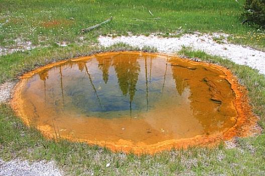 イエローストーン 81