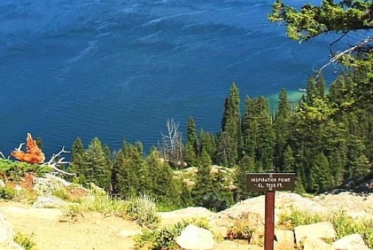 グランドティートン国立公園 65