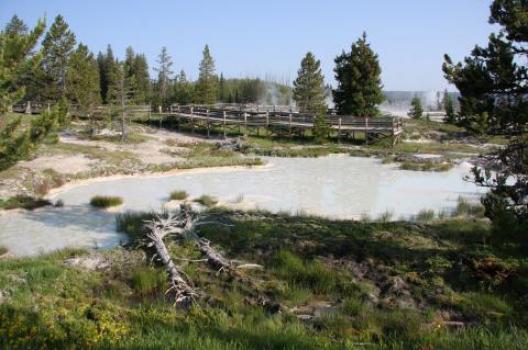 イエローストーン 190