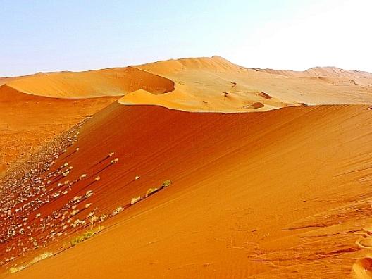 ソッサスフレイ 9