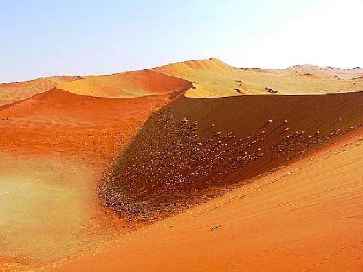 ソッサスフレイ 8