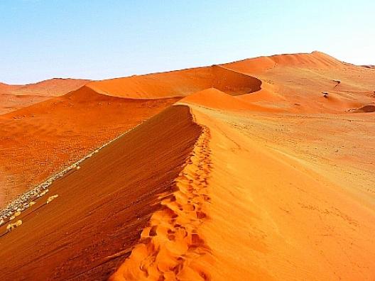 ソッサスフレイ　10