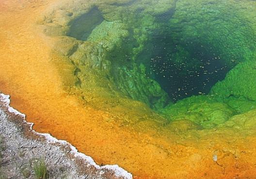 イエローストーン 117