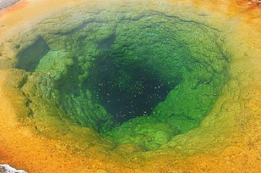 イエローストーン 106