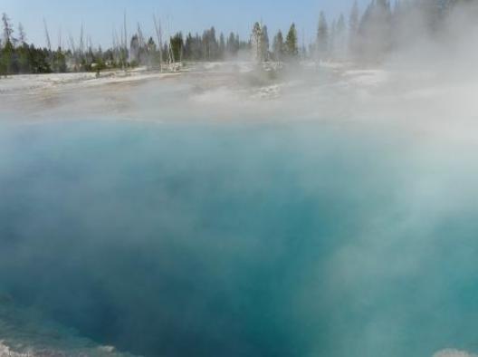 イエローストーン 194