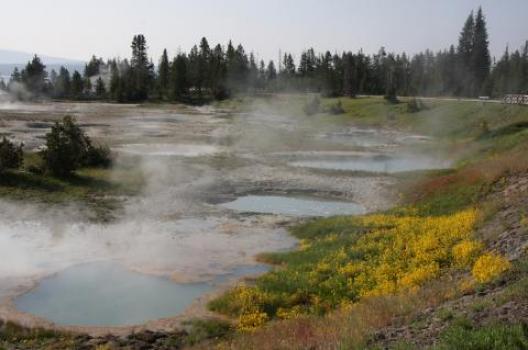 イエローストーン 195