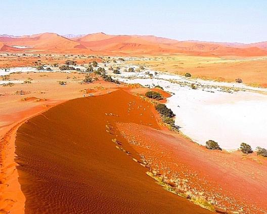 ソッサスフレイ 11