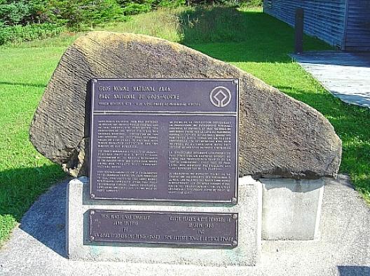 ニューファンドランド 1