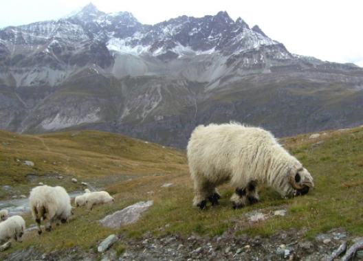 ここはどこシリーズ2011 54