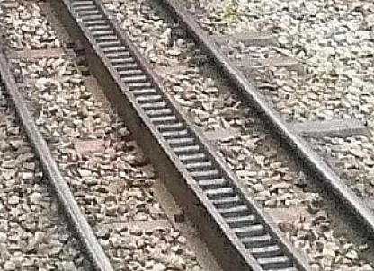 リッゲンバッハ式ラツクレール