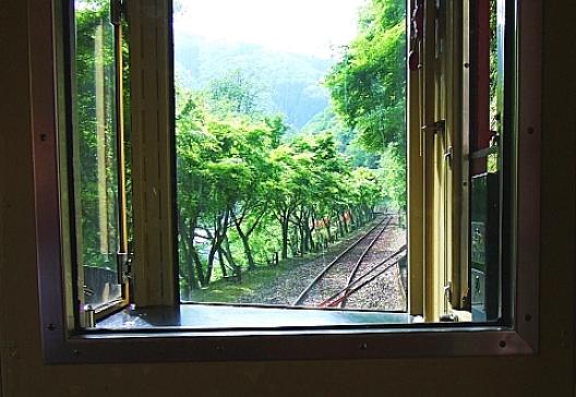 トロッコ列車 11