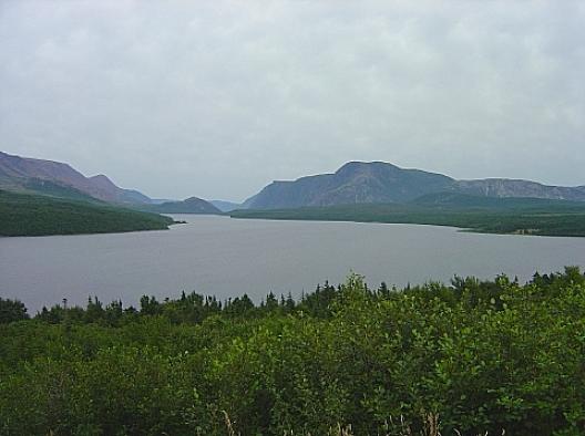 ニューファンドランド島 4