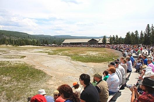 イエローストーン 46