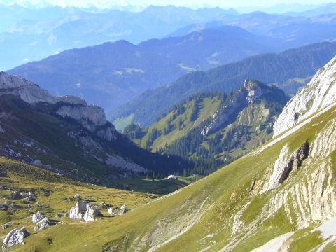 ピラトゥス鉄道の登山電車 11