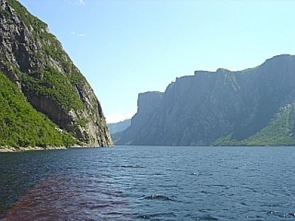 ニューファンドランド島 5