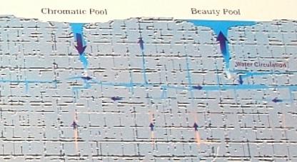 イエローストーン 91
