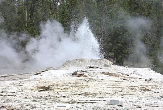 イエローストーン国立公園 96