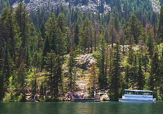 グランドティートン国立公園 48