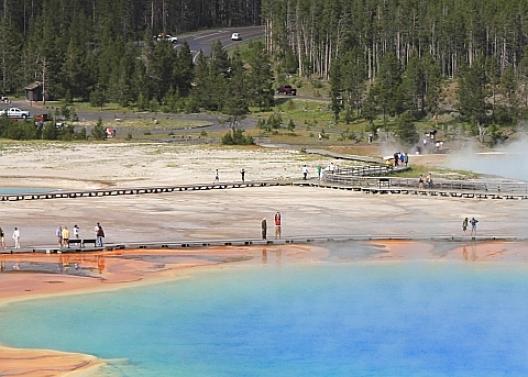 イエローストーン 44