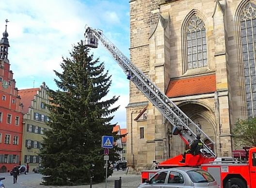 ディンケルスビュール 6