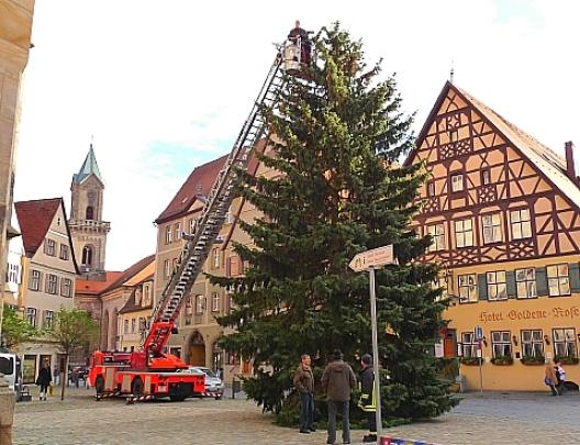 ディンケルスビュール 7