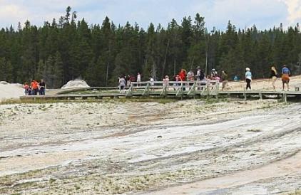 イエローストーン　51