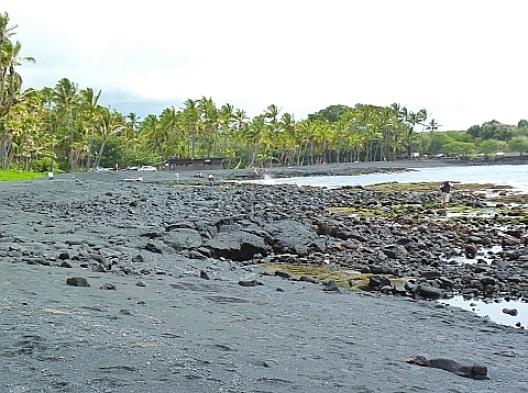 ﾋﾞｯｸﾞ ｱｲﾗﾝﾄﾞ ﾊﾜｲ島 2 黒砂海岸とｵﾘﾋﾞﾝ わたしのこだわりブログ 仮 楽天ブログ