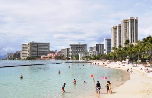 ワイキキ 13