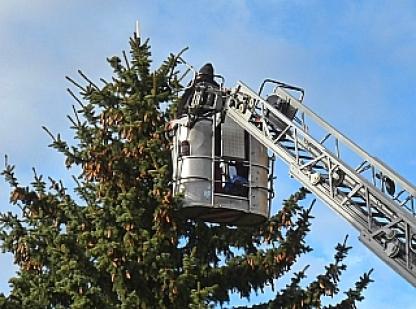 ディンケルスビュール 8