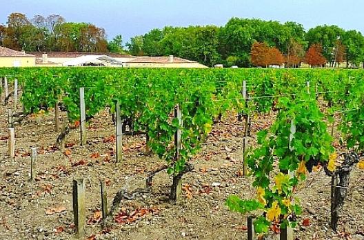 シャトー・マルゴー　5