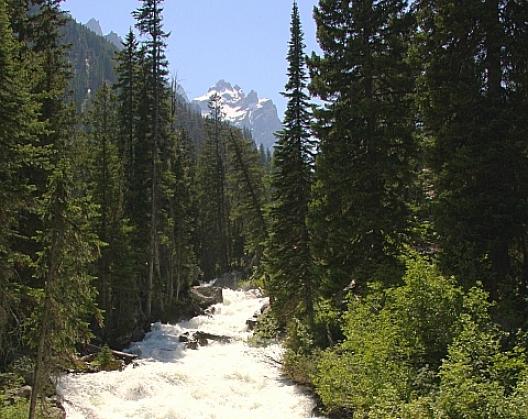 グランドティートン国立公園 66