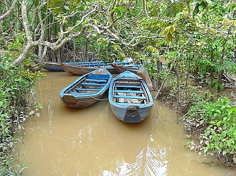 メコンデルタ 12