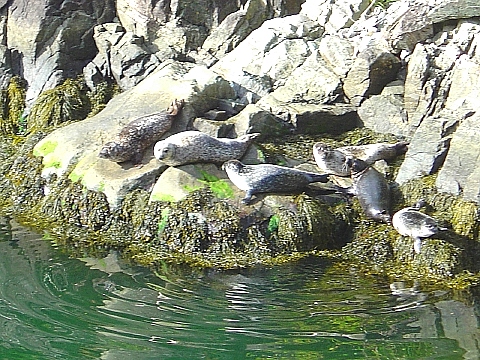 ソグネ・フィヨルド 4