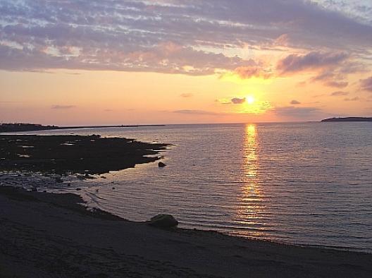 ランス・オ・メドウ 31