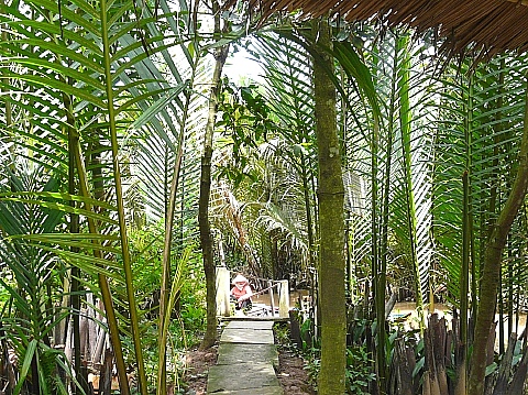 メコンデルタ　13