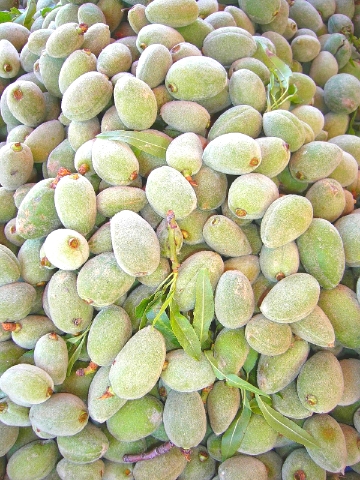 アーモンドの実