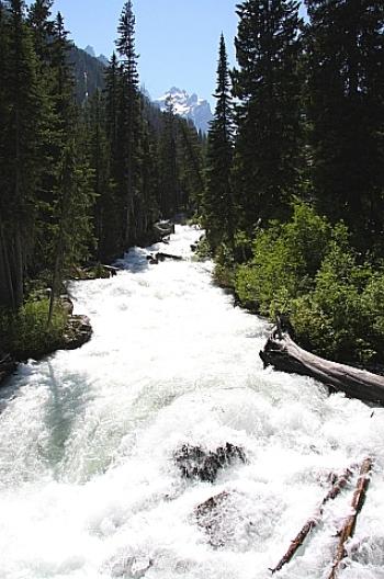 グランドティートン国立公園 52