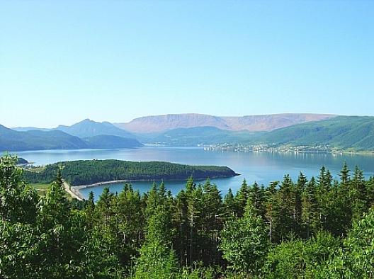 ニューファンドランド 7