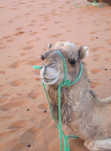 ウァルサザート　1