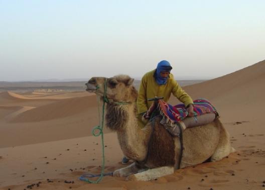 ウァルサザート 3