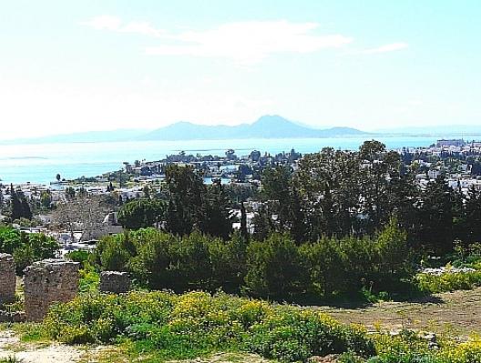 カルタゴ ピュルサの丘