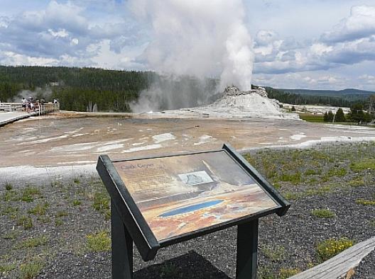 イエローストーン 113