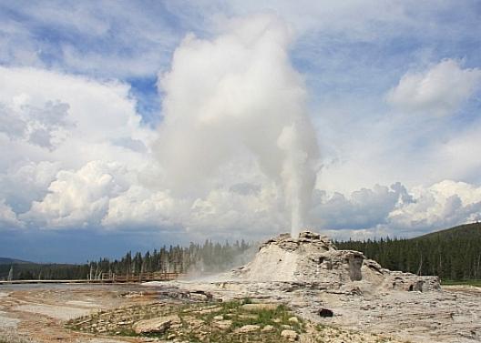 イエローストーン 115